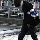 yan_yolo