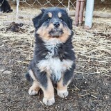 wakadoka_02_03