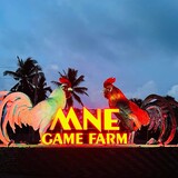 mne gamefarm