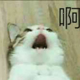 fati991