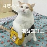 xingchenyangyupian