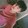起Arvin