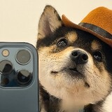 kuguachaorenzz-