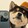 kuguachaorenzz-