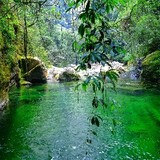 sheibanwuchuangdangn