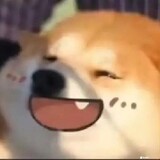 chaichaiwoya