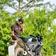 creator avatar