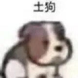 buruwenwenfeng