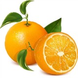 Orange_31