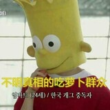 stacytan
