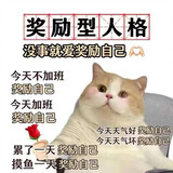 ________iaojuchangs