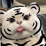 woshisheibujidao