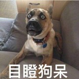 xianyu___un