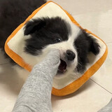 woshichouyaofande