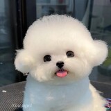 xixixiju