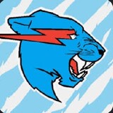 Mr Beast Beast Mr