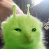 bainianjimi_________
