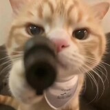 0zhangyuxiaowangzi0