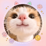 TOP 5 CAT MOMENTS