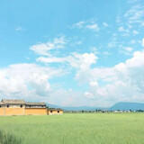 xiaohuhuaijianying