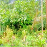 bili_2104194376