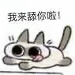 dafeizaozhu