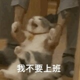 _qgmz