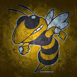 YellowJacket 帝国时代2