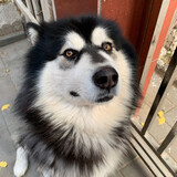 yikun619