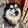 yikun619