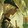 novem_ber_shiyi
