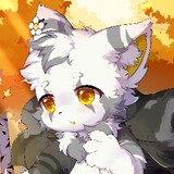 baiqiuo