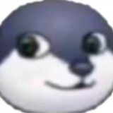 dacongmingjishuw___ia