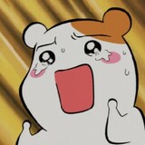 cangshuofficial