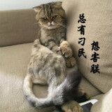 miaoaowushuodianying