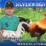 SILVERWIND/EVERLAST