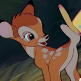 buzhengjinggagagaga_