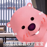 aizhuijuxiaochen