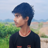 APS Arjun king
