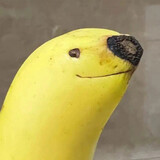 wudalangmaiyoubing
