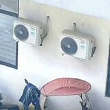 shadiaodaojiazhenjun