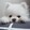 yaoshoulawc
