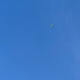 shuaiqixiaoxingnanya