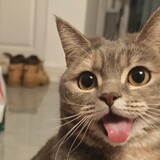 sanlimeimeijiaoliuji