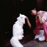yimanxing