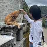linzhiting