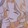 jinkuikuikui_