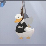 buzhengjingdemuchuyi