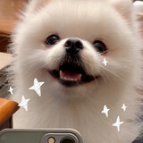 jiaoyingjunya