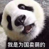 kexueguairenzhangsan